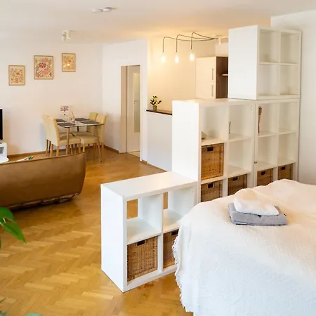 Top! Gemuetliches Studio-apartment Zentral, Wlan, Kueche 公寓