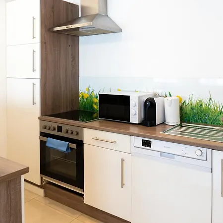 公寓 Top! Gemuetliches Studio-apartment Zentral, Wlan, Kueche